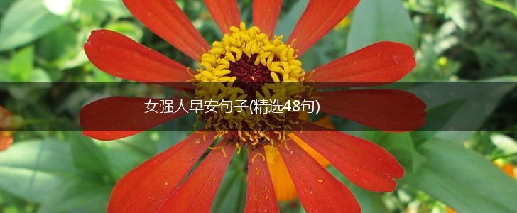 女强人早安句子(精选48句),第1张