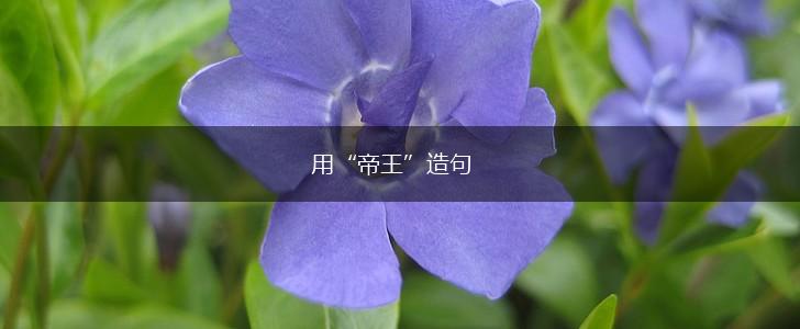 用“帝王”造句,第1张