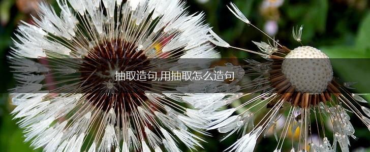抽取造句,用抽取怎么造句,第1张