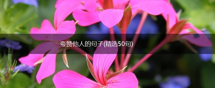 夸赞他人的句子(精选50句),第1张