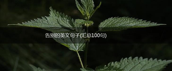 告别的英文句子(汇总100句),第1张