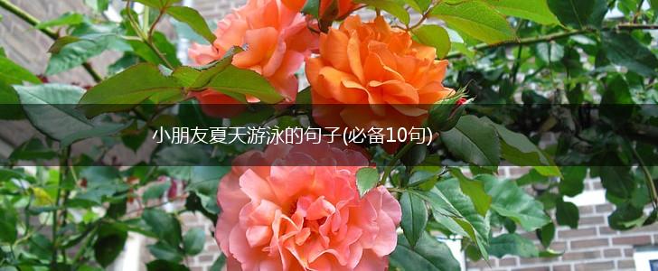 小朋友夏天游泳的句子(必备10句),第1张