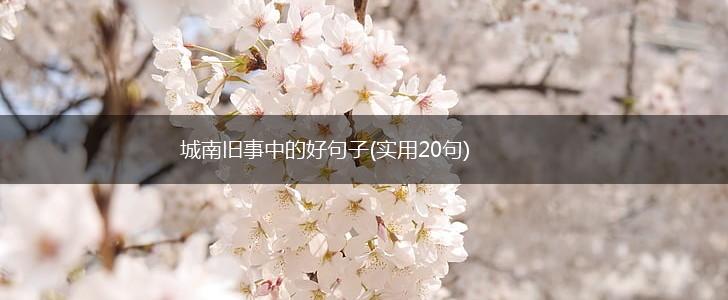 城南旧事中的好句子(实用20句),第1张