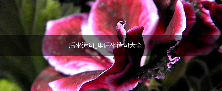 后坐造句_用后坐造句大全,第1张