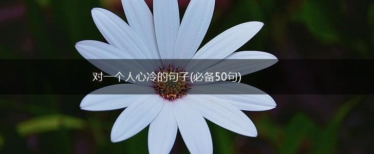 对一个人心冷的句子(必备50句),第1张