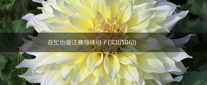在忙也要注意身体句子(实用50句),第1张