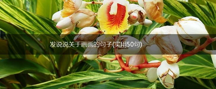 发说说关于画画的句子(实用50句),第1张