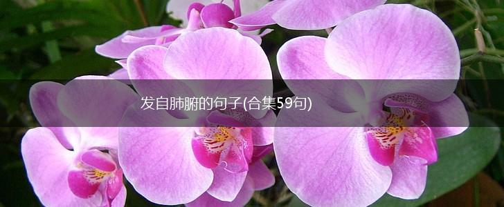 发自肺腑的句子(合集59句),第1张