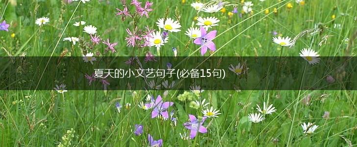 夏天的小文艺句子(必备15句),第1张