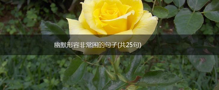 幽默形容非常困的句子(共25句),第1张