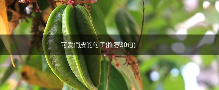 可爱俏皮的句子(推荐30句),第1张