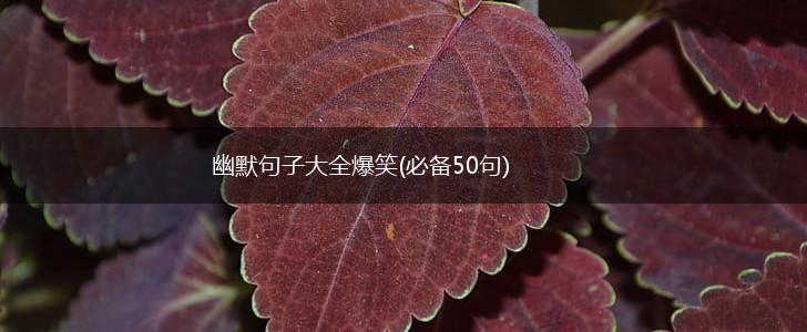 幽默句子大全爆笑(必备50句),第1张