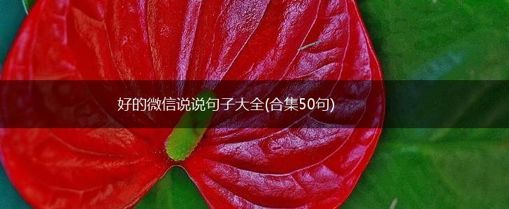 好的微信说说句子大全(合集50句),第1张