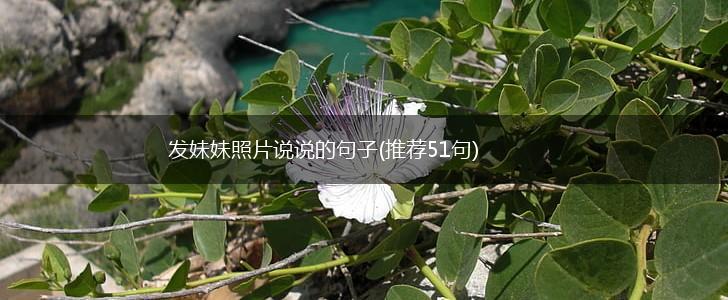 发妹妹照片说说的句子(推荐51句),第1张
