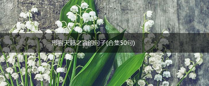 形容天籁之音的句子(合集50句),第1张