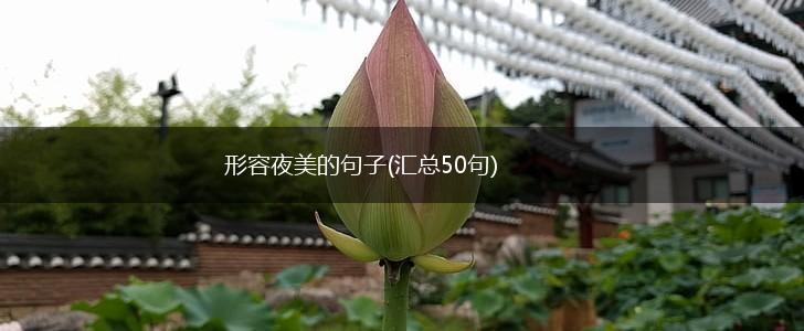 形容夜美的句子(汇总50句),第1张