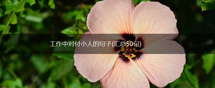 工作中对付小人的句子(汇总50句),第1张