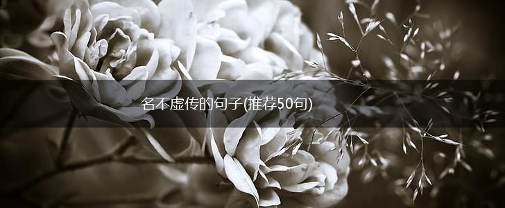 名不虚传的句子(推荐50句),第1张