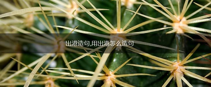 出港造句,用出港怎么造句,第1张