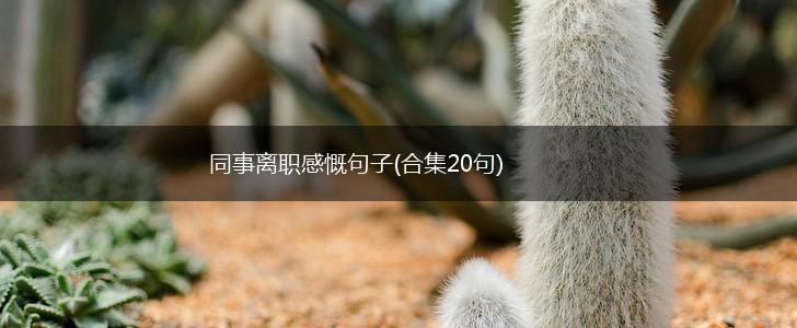 同事离职感慨句子(合集20句),第1张