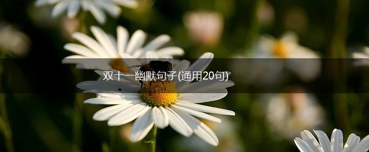 双十一幽默句子(通用20句),第1张