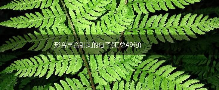 形容声音甜美的句子(汇总49句),第1张