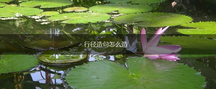 行径造句怎么造,第1张