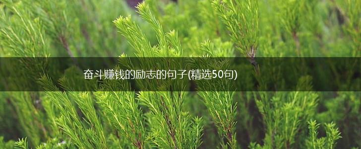 奋斗赚钱的励志的句子(精选50句),第1张