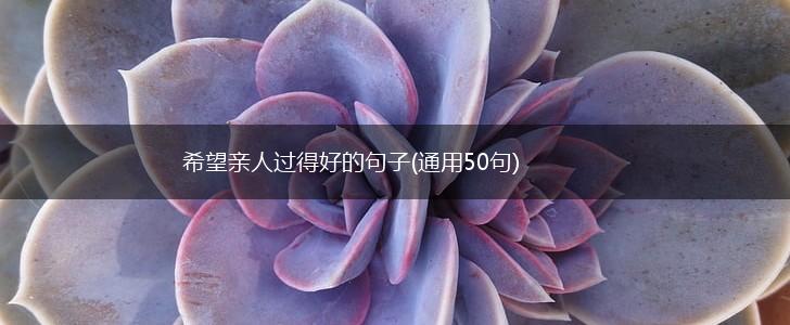 希望亲人过得好的句子(通用50句),第1张