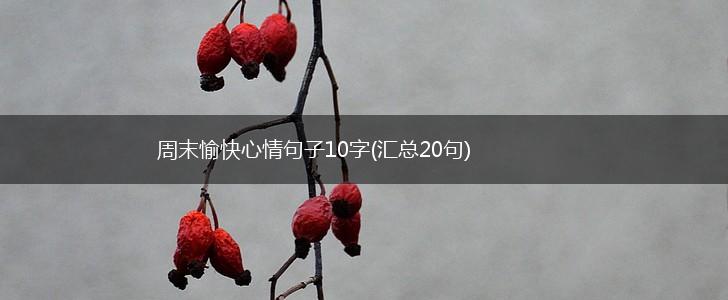周末愉快心情句子10字(汇总20句),第1张