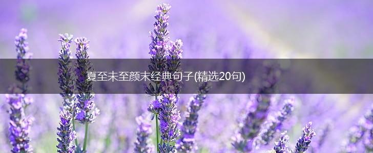 夏至未至颜末经典句子(精选20句),第1张