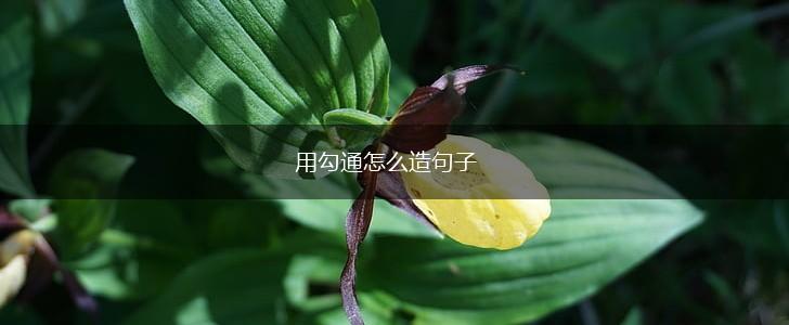 用勾通怎么造句子,第1张