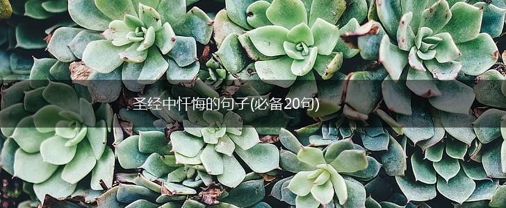 圣经中忏悔的句子(必备20句),第1张