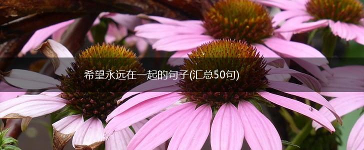希望永远在一起的句子(汇总50句),第1张