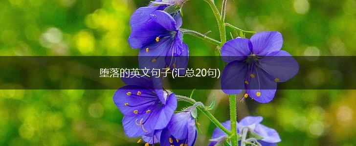 堕落的英文句子(汇总20句),第1张