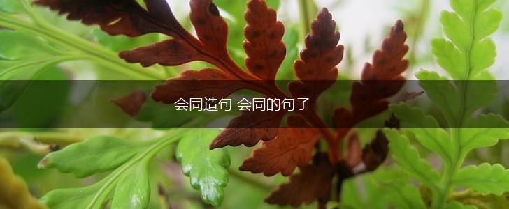 会同造句 会同的句子,第1张