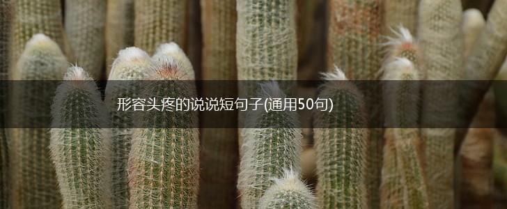 形容头疼的说说短句子(通用50句),第1张
