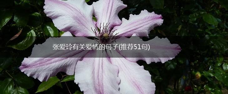 张爱玲有关爱情的句子(推荐51句),第1张