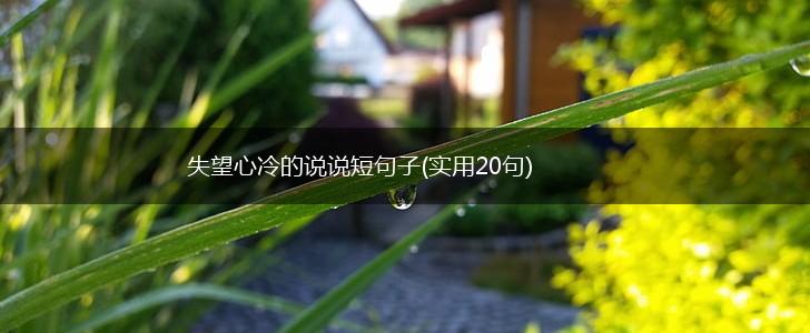 失望心冷的说说短句子(实用20句),第1张