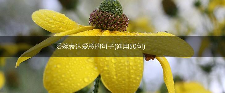 委婉表达爱意的句子(通用50句),第1张