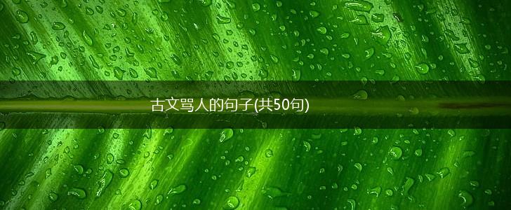 古文骂人的句子(共50句),第1张