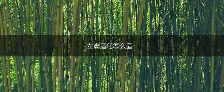 左翼造句怎么造,第1张