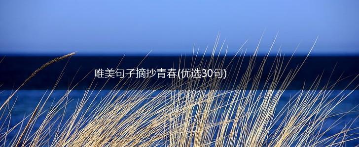唯美句子摘抄青春(优选30句),第1张