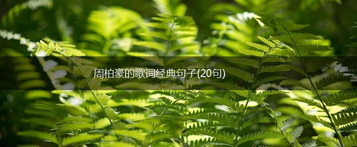 周柏豪的歌词经典句子(20句),第1张