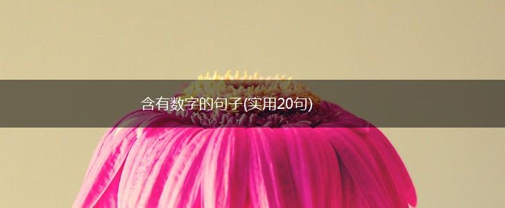 含有数字的句子(实用20句),第1张