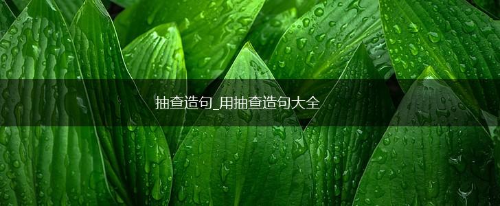 抽查造句_用抽查造句大全,第1张