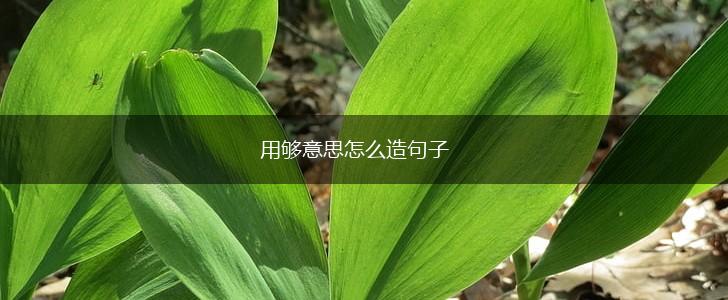 用够意思怎么造句子,第1张