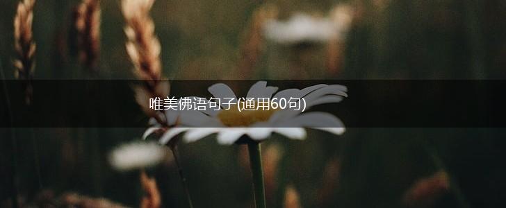 唯美佛语句子(通用60句),第1张