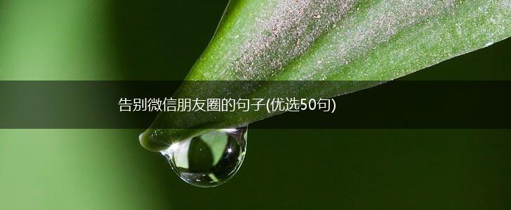 告别微信朋友圈的句子(优选50句),第1张