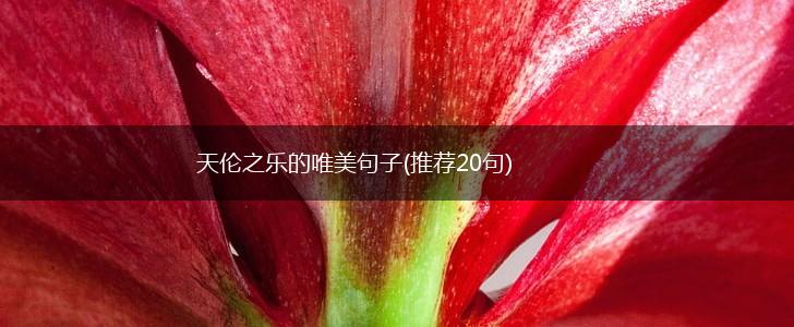 天伦之乐的唯美句子(推荐20句),第1张